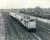 Black & White Railway Train Photo refEM1319 SHARMAN (details on reverse)