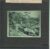 VINTAGE GLASS LANTERN SLIDE Natural Garden scene